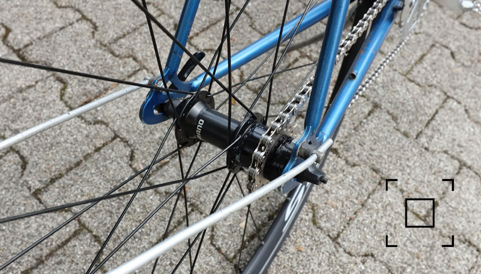 Singlespeed Antrieb, Ritzel