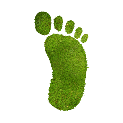 Oekologischer Fussabdruck MTB Rahmen